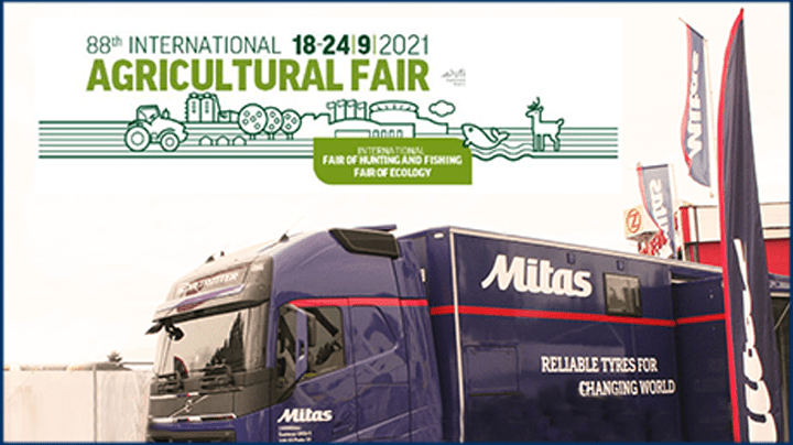 novisad-preview_460x258